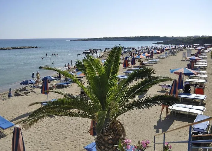 Tala View فيلة *